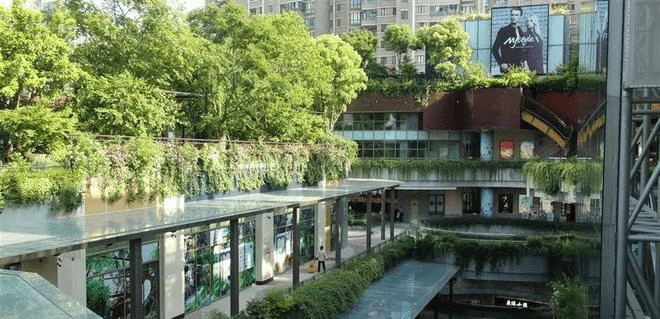 市人大代表建言为绿色建筑立法，让城市“向绿而行”！插图2