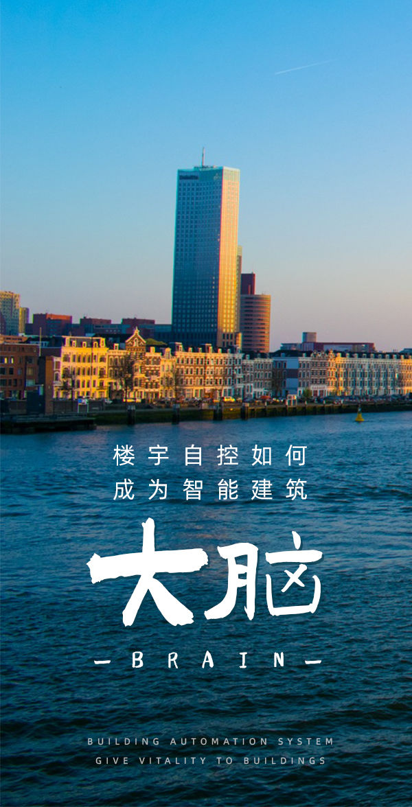 运行大脑 运行大脑